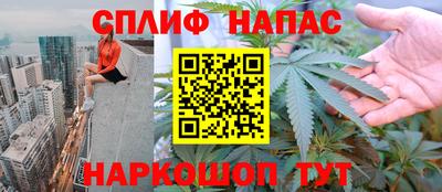 PSILOCYBIN Кулебаки