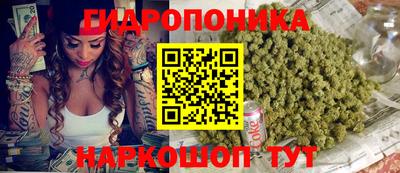 PSILOCYBIN Кулебаки