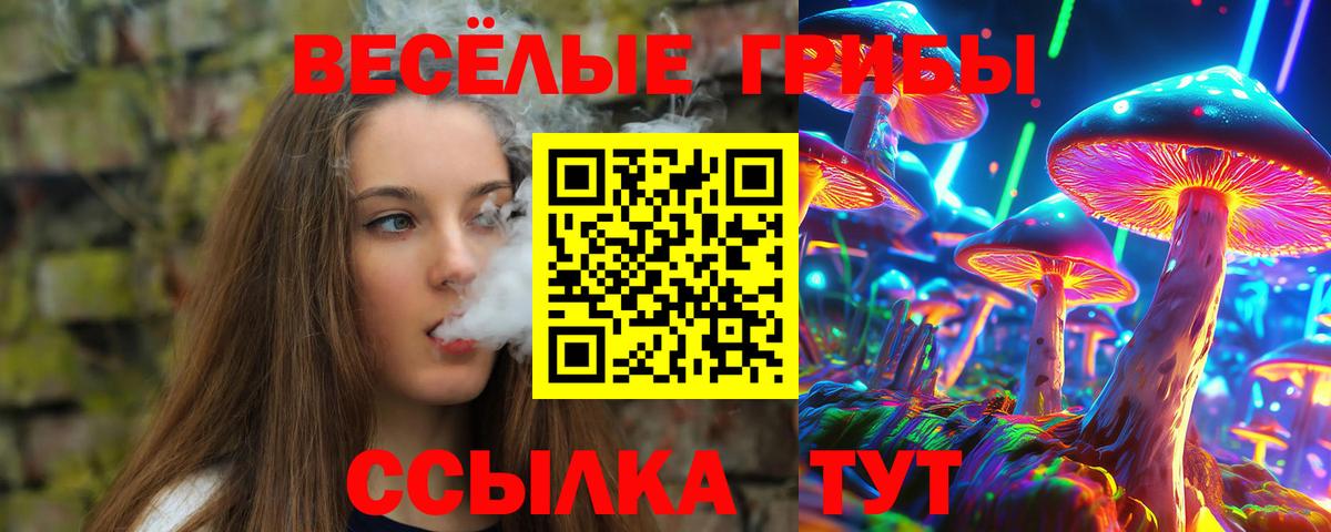 Елизово  Галлюциногенные грибы Magic Shrooms  Вход с VPN 