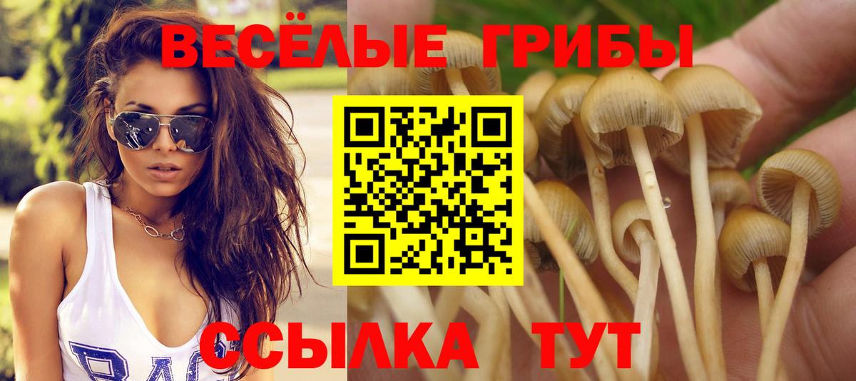 Галлюциногенные грибы MAGIC MUSHROOMS Елизово